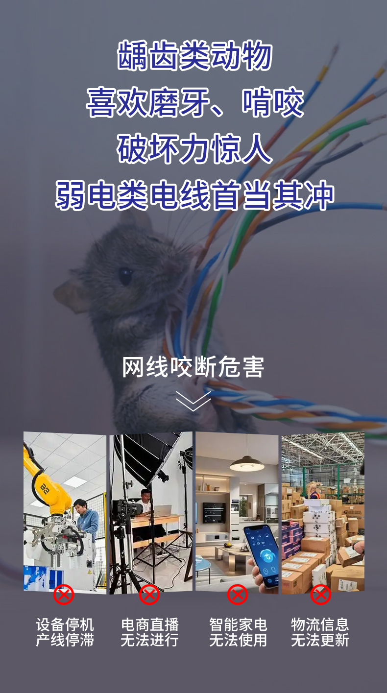 安普超五類鎧裝網(wǎng)線防鼠咬鋼帶防曬凍室外抗老化可地埋鎧甲網(wǎng)絡(luò)線