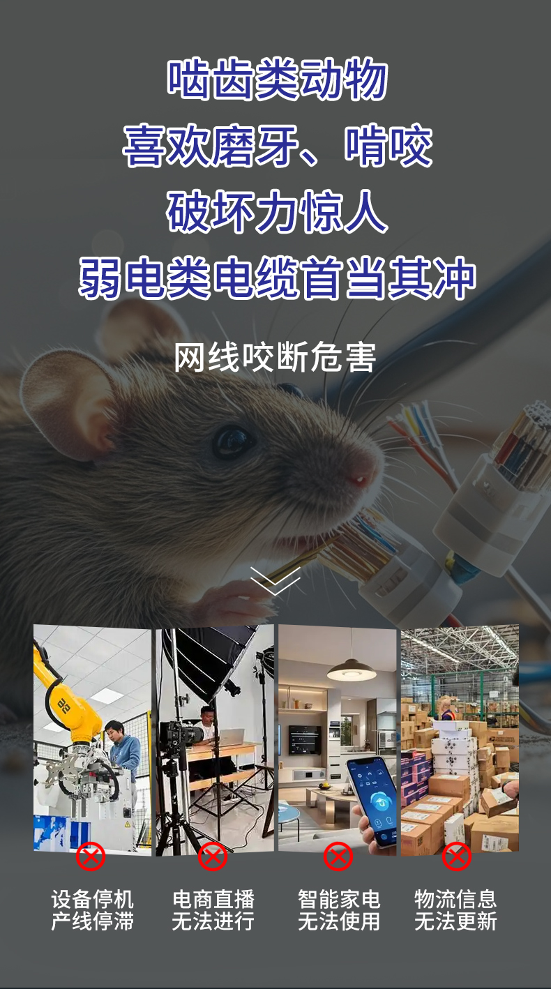 安普室外六類鎧甲屏蔽網(wǎng)線防老鼠咬可地埋鎧裝防水防曬戶外網(wǎng)絡線